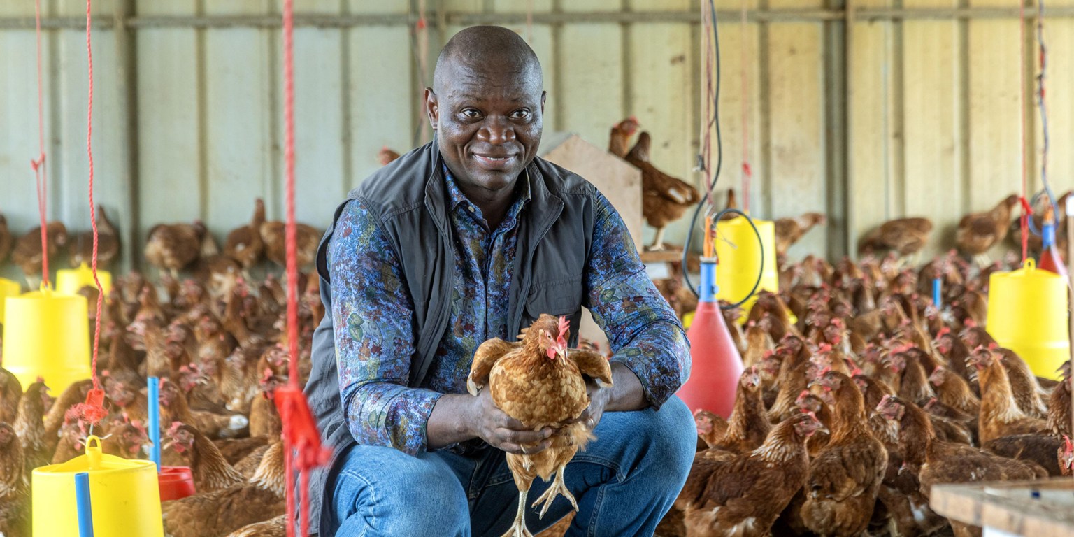 Le Président Oligui Nguema visitant une ferme située à Ntoum